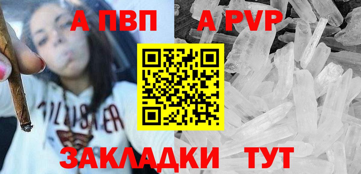 A PVP СК Котлас