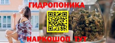 прущие крисы Кандалакша