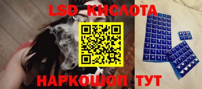 a pvp Камышлов
