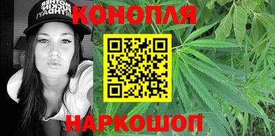 a pvp Камышлов