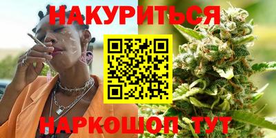 a pvp Камышлов