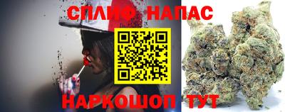 прущие крисы Кандалакша