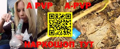 a pvp Камышлов