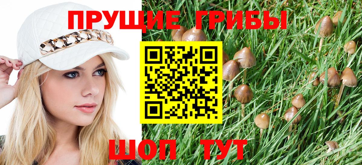 Галлюциногенные грибы GOLDEN TEACHER Котлас